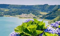 Hortensias Azoren(960 x 580 px)