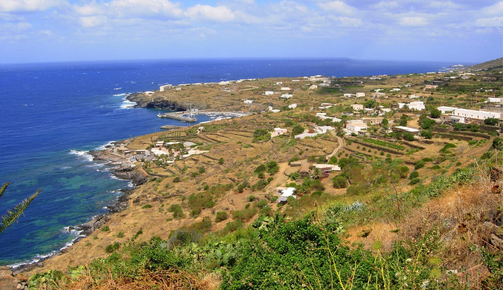 Een kustlandschap met een rotsachtige kustlijn en een diepblauwe zee op Pantelleria. Verspreide witte gebouwen en weelderige groene velden bedekken het landelijke landschap onder een bewolkte hemel.